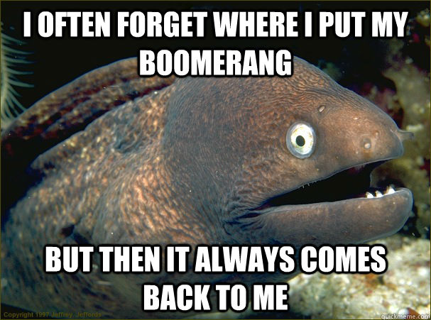 I often forget where I put my boomerang But then it always comes back to me  Bad Joke Eel