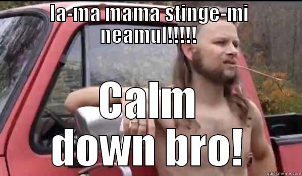 IA-MA MAMA STINGE-MI NEAMUL!!!!! CALM DOWN BRO! Almost Politically Correct Redneck