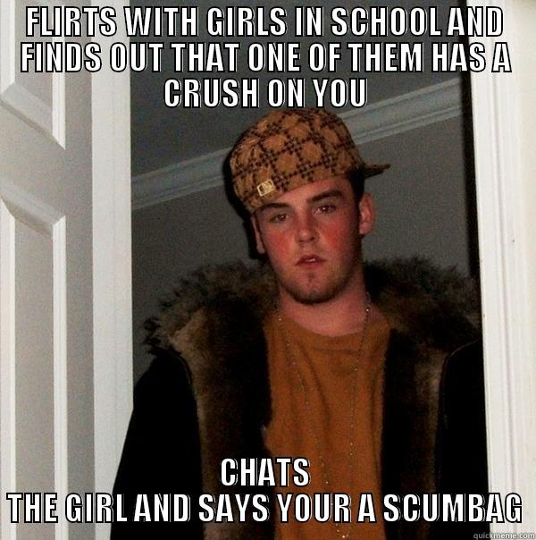 FLIRTS WITH GIRLS IN SCHOOL AND FINDS OUT THAT ONE OF THEM HAS A CRUSH ON YOU CHATS THE GIRL AND SAYS YOUR A SCUMBAG Scumbag Steve