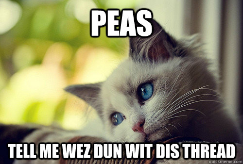 Peas tell me wez dun wit dis thread  First World Problems Cat