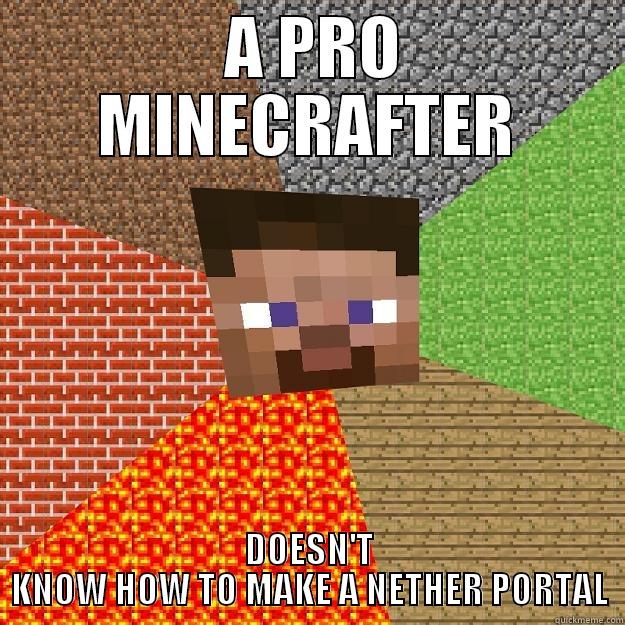 MINECRAFTER FAIL!!! -  A PRO MINECRAFTER DOESN'T KNOW HOW TO MAKE A NETHER PORTAL Minecraft