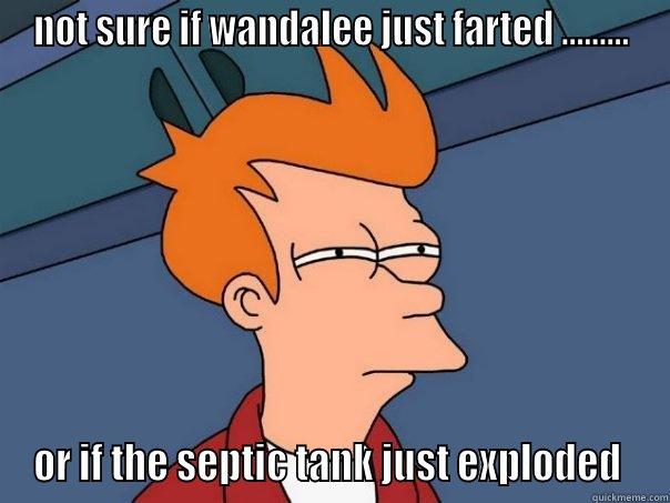 NOT SURE IF WANDALEE JUST FARTED ......... OR IF THE SEPTIC TANK JUST EXPLODED  Futurama Fry