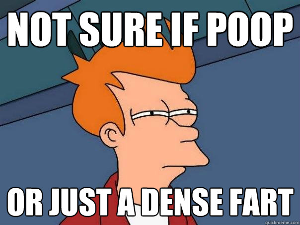 not sure if poop or just a dense fart  Futurama Fry