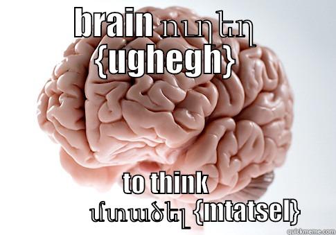 BRAIN ՈՒՂԵՂ {UGHEGH} TO THINK             ՄՏԱԾԵԼ {MTATSEL} Scumbag Brain