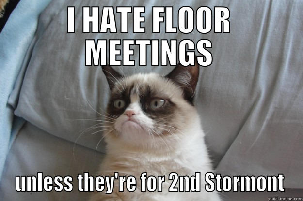grumpy meeting - I HATE FLOOR MEETINGS UNLESS THEY'RE FOR 2ND STORMONT Grumpy Cat