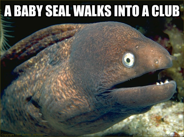 A baby seal walks into a club   Bad Joke Eel