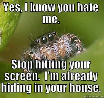 YES, I KNOW YOU HATE ME. STOP HITTING YOUR SCREEN.  I'M ALREADY HIDING IN YOUR HOUSE. Misunderstood Spider