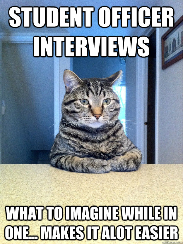 Student officer interviews what to imagine while in one... makes it alot easier  Chris Hansen Cat