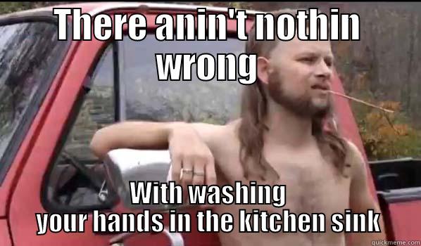 THERE ANIN'T NOTHIN WRONG WITH WASHING YOUR HANDS IN THE KITCHEN SINK Almost Politically Correct Redneck