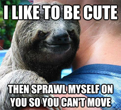 i like to be cute then sprawl myself on you so you can't move  Suspiciously Evil Sloth