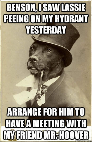 Benson, I saw Lassie peeing on my hydrant yesterday Arrange for him to have a meeting with my friend Mr. Hoover - Benson, I saw Lassie peeing on my hydrant yesterday Arrange for him to have a meeting with my friend Mr. Hoover  Old Money Dog