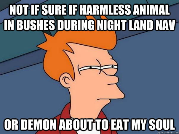 not if sure if harmless animal in bushes during night land nav or demon about to eat my soul   Futurama Fry