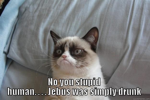  NO YOU STUPID HUMAN. . . . JEBUS WAS SIMPLY DRUNK Grumpy Cat