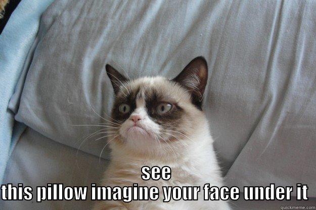  SEE THIS PILLOW IMAGINE YOUR FACE UNDER IT  Grumpy Cat