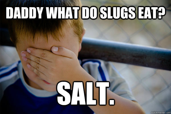 DADDY WHAT DO SLUGS EAT? SALT.  Confession kid