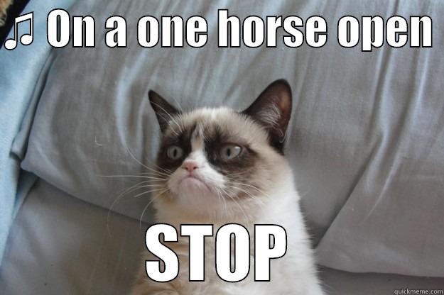 ♫ ON A ONE HORSE OPEN  STOP Grumpy Cat