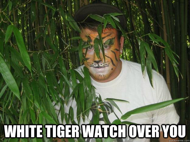  white tiger watch over you  