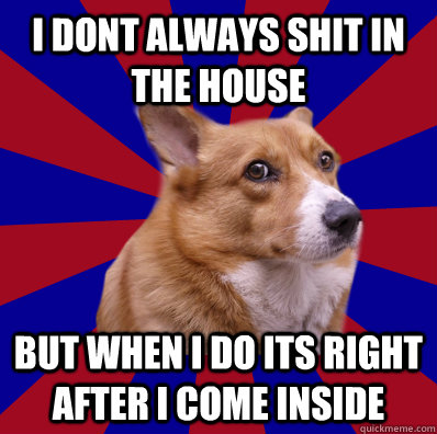 i dont always shit in the house but when i do its right after i come inside  