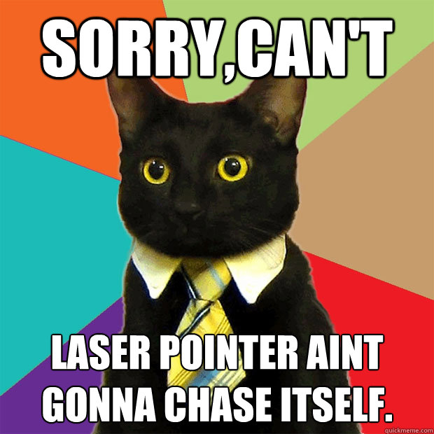 Sorry,can't Laser pointer aint gonna chase itself.  Business Cat