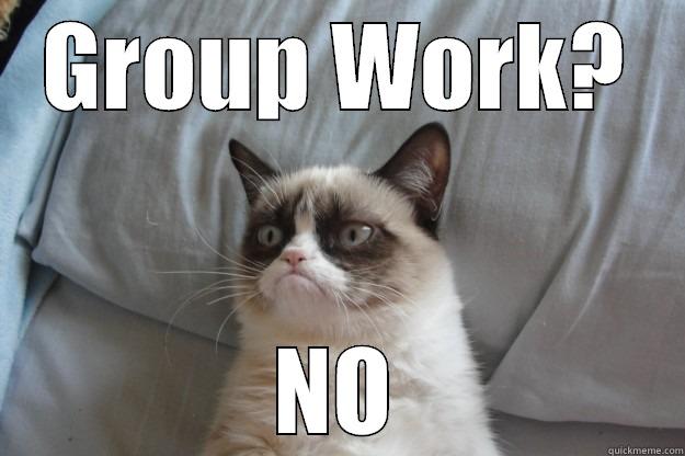 GROUP WORK? NO Grumpy Cat
