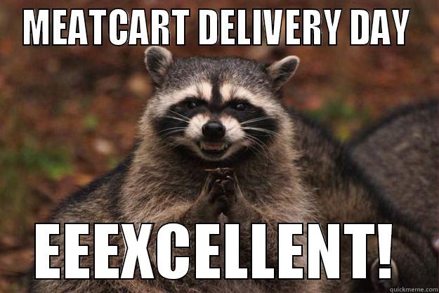 MEATCART DELIVERY DAY EEEXCELLENT! Evil Plotting Raccoon