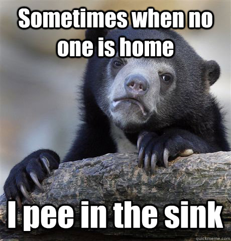 Sometimes when no one is home I pee in the sink  Confession Bear