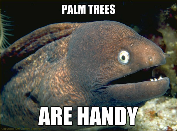 PALM TREES ARE HANDY - PALM TREES ARE HANDY  Bad Joke Eel