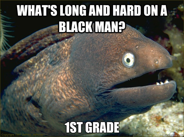 What's long and hard on a black man? 1st grade  Bad Joke Eel