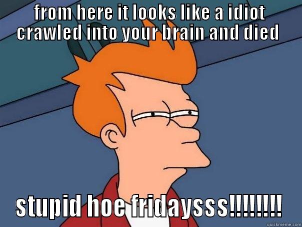 stupid hoe fridays  - FROM HERE IT LOOKS LIKE A IDIOT CRAWLED INTO YOUR BRAIN AND DIED  STUPID HOE FRIDAYSSS!!!!!!!! Futurama Fry