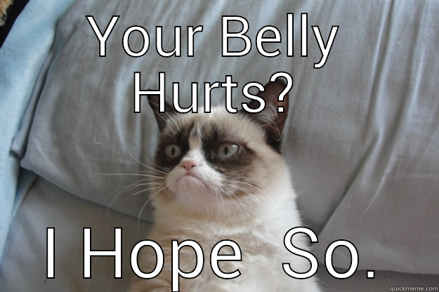 YOUR BELLY HURTS? I HOPE  SO. Grumpy Cat