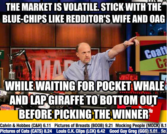 The market is volatile. Stick with the blue-chips like Redditor's Wife and OAG  while waiting for pocket whale and lap giraffe to bottom out before picking the winner - The market is volatile. Stick with the blue-chips like Redditor's Wife and OAG  while waiting for pocket whale and lap giraffe to bottom out before picking the winner  Mad Karma with Jim Cramer