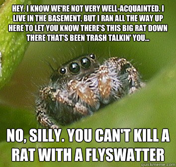 Hey. I know we're not very well-acquainted. I live in the basement, but I ran all the way up here to let you know there's this big rat down there that's been trash talkin' you... no, silly. You can't kill a rat with a flyswatter  Misunderstood Spider