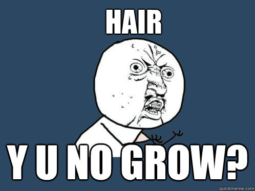 Hair y u No grow?  Y U No