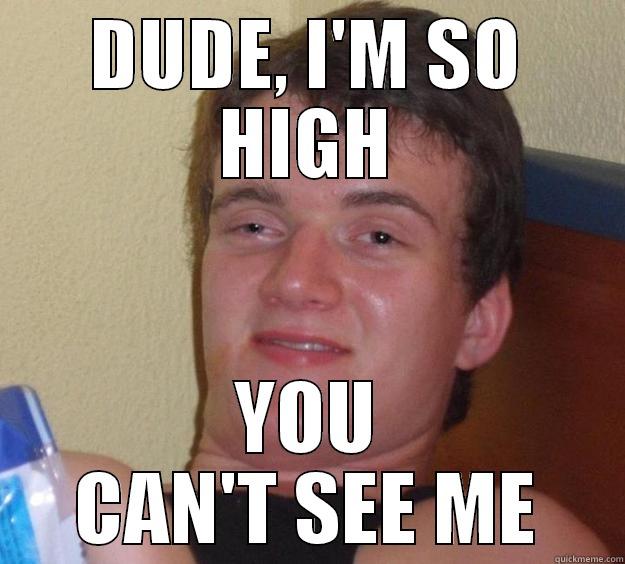 DUDE, I'M SO HIGH YOU CAN'T SEE ME 10 Guy