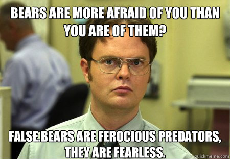 bears are more afraid of you than you are of them?
 FALSE.bears are ferocious predators, they are fearless.  Dwight