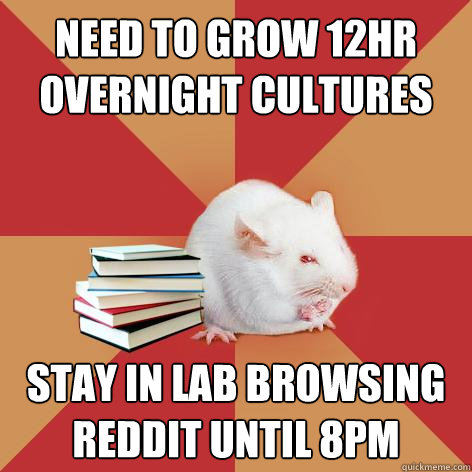 Need to grow 12hr overnight cultures Stay in lab browsing reddit until 8pm - Need to grow 12hr overnight cultures Stay in lab browsing reddit until 8pm  Science Major Mouse