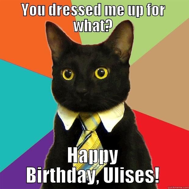 YOU DRESSED ME UP FOR WHAT? HAPPY BIRTHDAY, ULISES! Business Cat