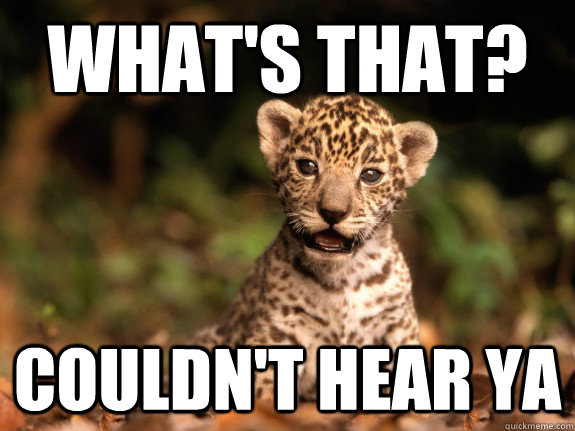 What's that? Couldn't hear ya - What's that? Couldn't hear ya  Def Leopard