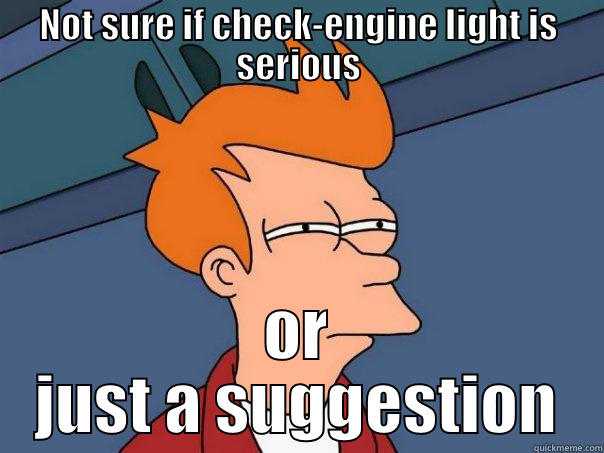 NOT SURE IF CHECK-ENGINE LIGHT IS SERIOUS OR JUST A SUGGESTION Futurama Fry