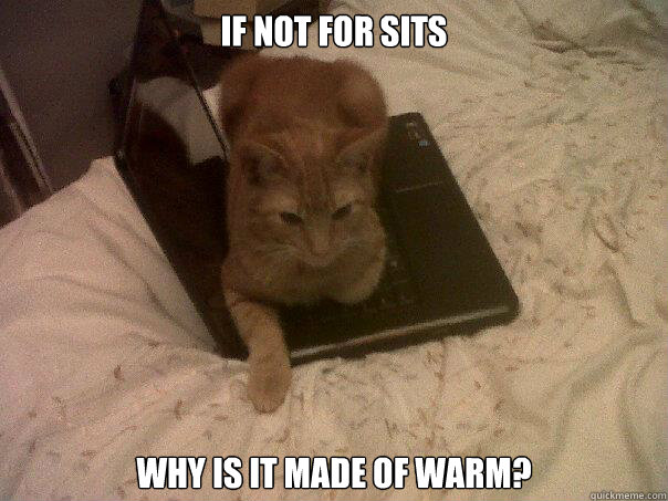 if not for sits why is it made of warm? - if not for sits why is it made of warm?  sits