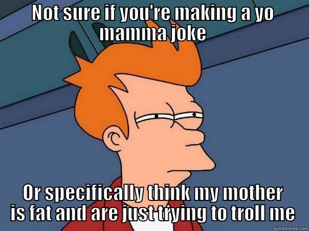 NOT SURE IF YOU'RE MAKING A YO MAMMA JOKE OR SPECIFICALLY THINK MY MOTHER IS FAT AND ARE JUST TRYING TO TROLL ME Futurama Fry