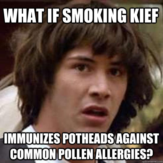 What if smoking kief  immunizes potheads against common pollen allergies?  conspiracy keanu