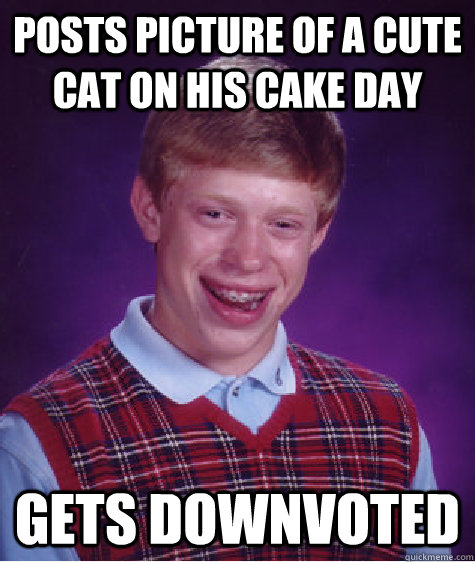 Posts picture of a cute cat on his cake day Gets downvoted  - Posts picture of a cute cat on his cake day Gets downvoted   Bad Luck Brian