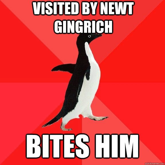 visited by newt gingrich bites him  Socially Awesome Penguin