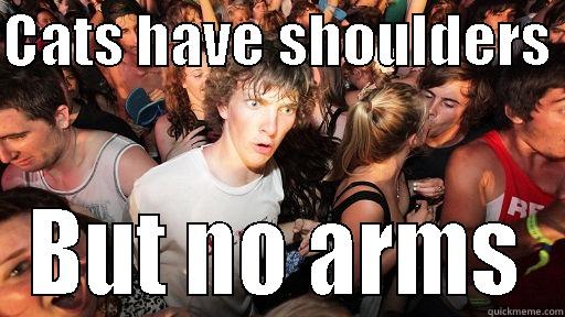 CATS HAVE SHOULDERS  BUT NO ARMS Sudden Clarity Clarence