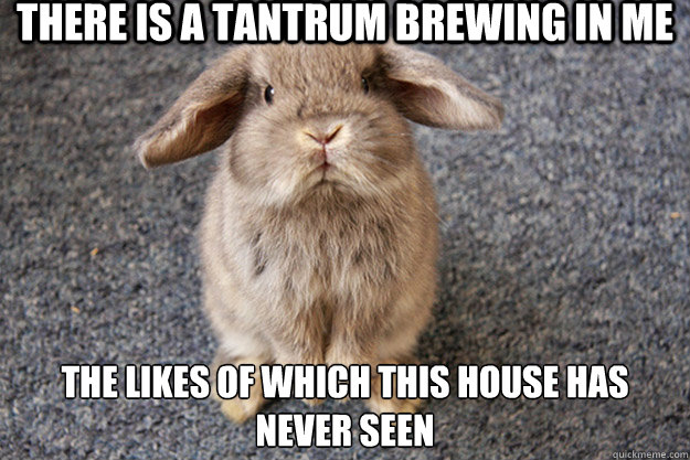 There is a tantrum brewing in me The likes of which this house has never seen  Sad Bunny