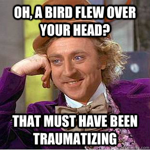 Oh, a bird flew over your head? that must have been traumatizing  Condescending Wonka