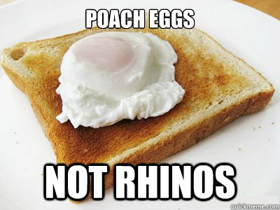 Poach Eggs Not Rhinos - Poach Eggs Not Rhinos  Poached Egg