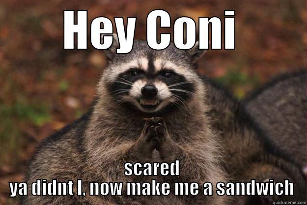 HEY CONI SCARED YA DIDNT I, NOW MAKE ME A SANDWICH Evil Plotting Raccoon