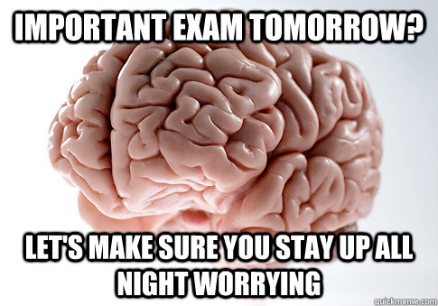 IMPORTANT EXAM TOMORROW? Let's make sure you stay up all night worrying  Scumbag Brain